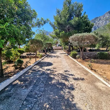 Willa 3 Bedroom With Beautiful Sea View
